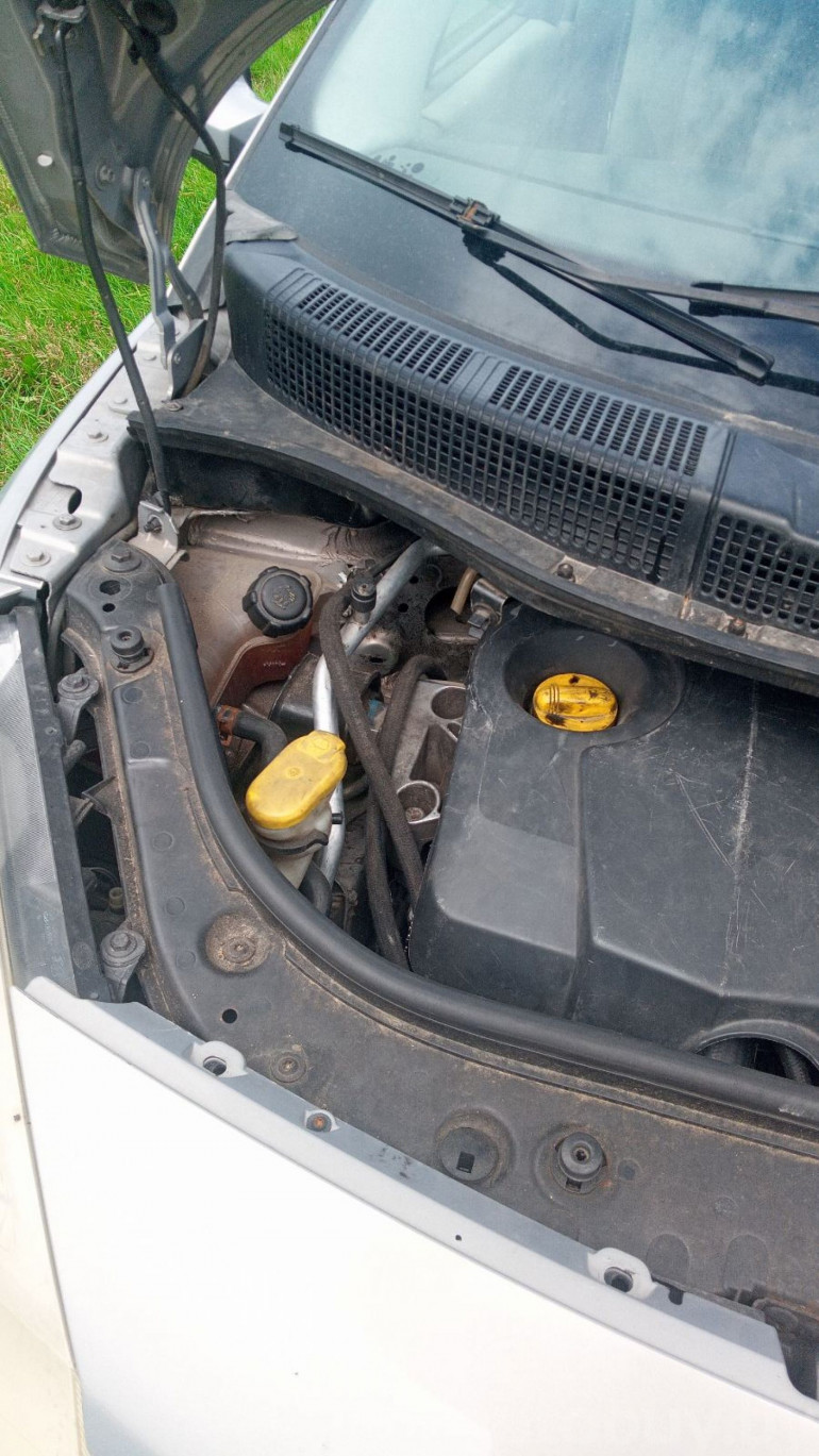 Renault Scenic 2 поколение, 2003 года