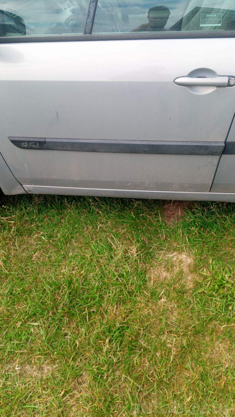 Renault Scenic 2 поколение, 2003 года