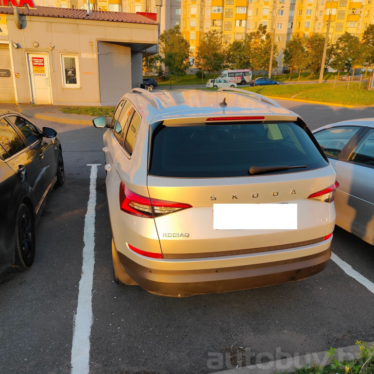 Skoda Kodiaq 1 поколение, 2020 года