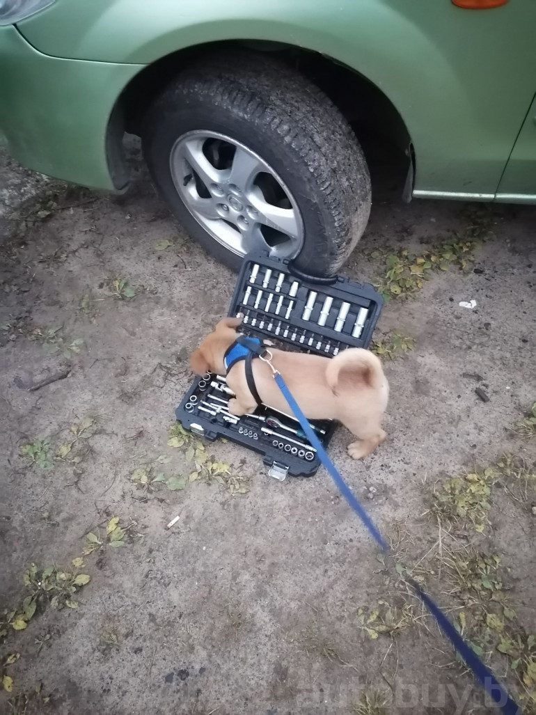 Mazda Premacy 1 поколение (CP), 2001 года