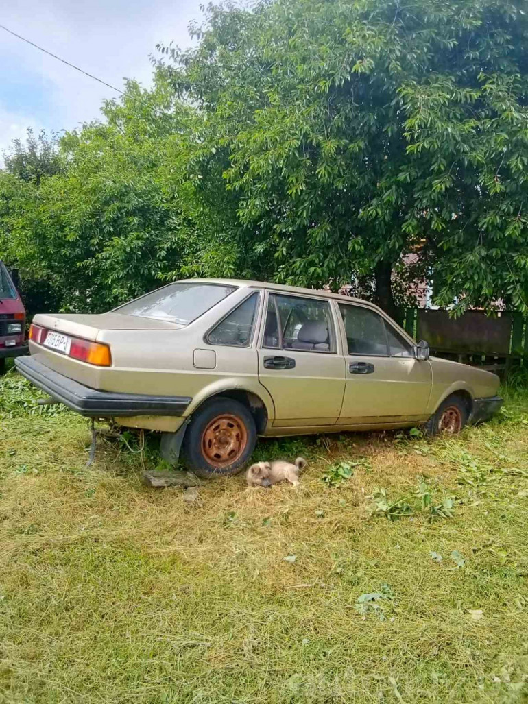 Volkswagen Santana 1 поколение, 1982 года