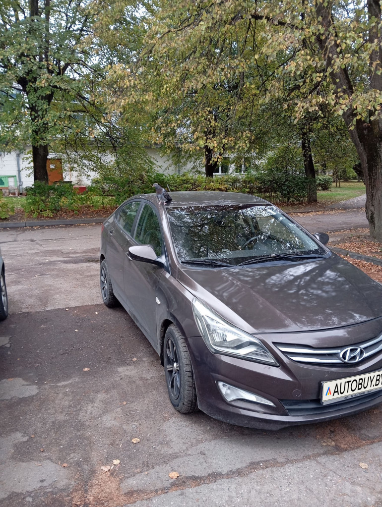 Hyundai Solaris 1 поколение [рестайлинг], 2016 года