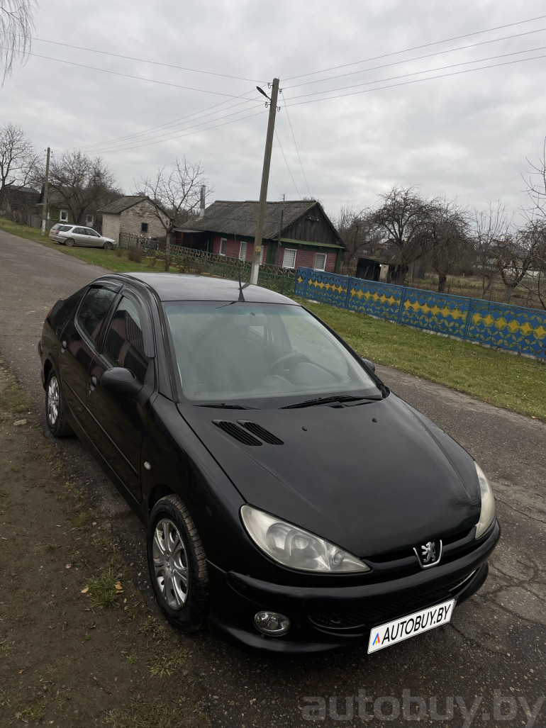 Peugeot 206 1 поколение, 2007 года