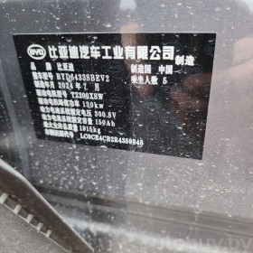 BYD Yuan Up