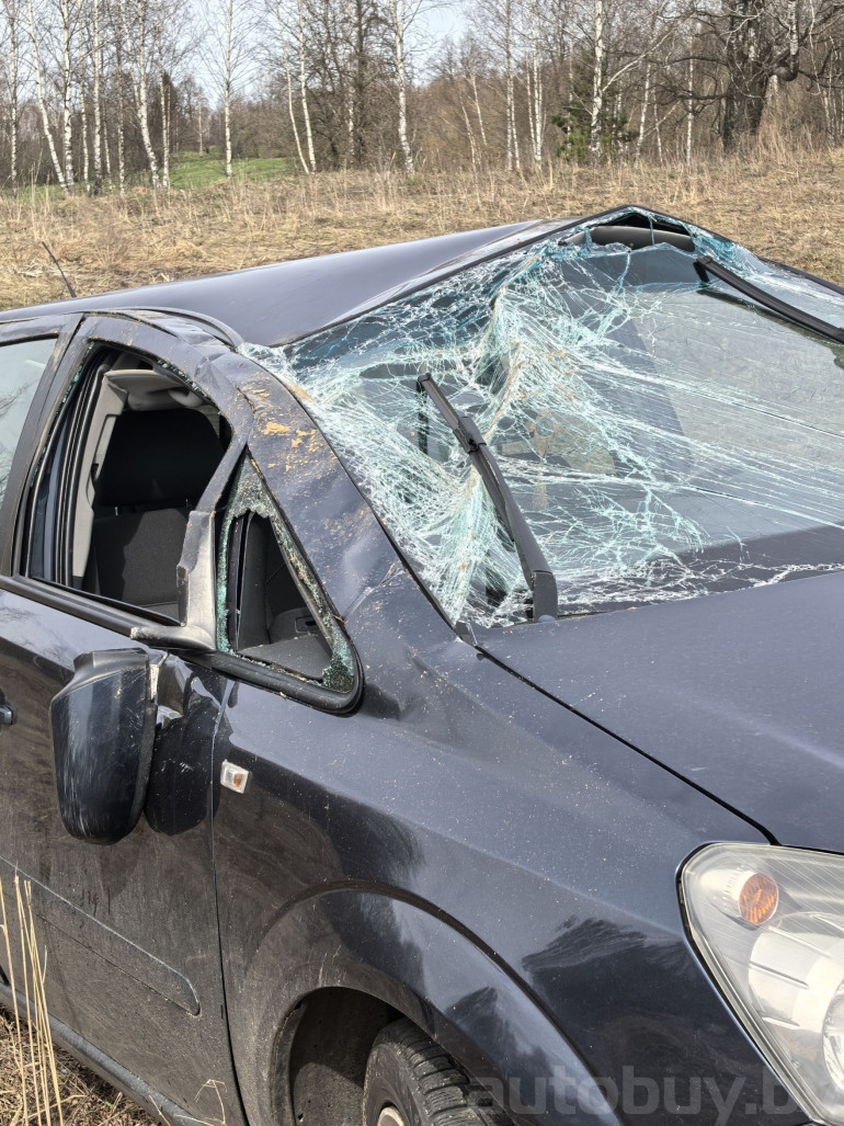 Opel Zafira 2 поколение (B), 2008 года