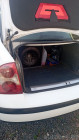 Volkswagen Passat 5 поколение (B5) [рестайлинг], 2002 года