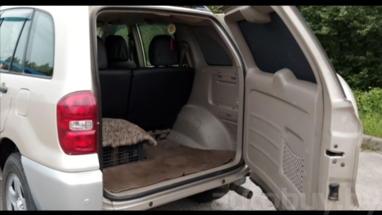 Toyota RAV4 2 поколение (XA20) [рестайлинг], 2004 года