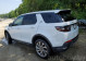 Land Rover Discovery Sport 1 поколение [рестайлинг], 2021 года